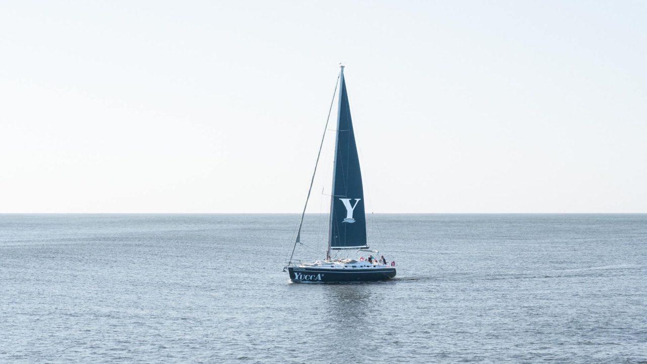 Passeio de barco no Rio Douro Veleiro